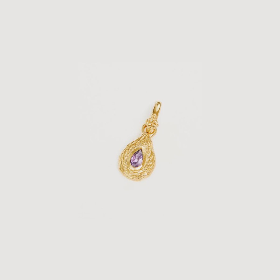 Women By Charlotte Jewellery | By Charlotte With Love Birthstone Annex Link Pendant-February/Amethyst-18K Gold Vermeil