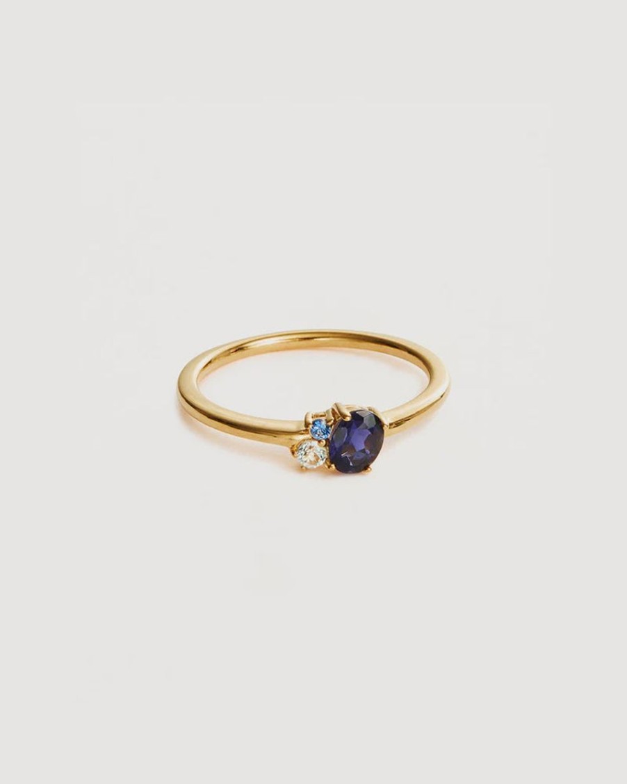 Women By Charlotte Jewellery | By Charlotte 18K Gold Vermeil Kindred Birthstone Ring-September/Sapphire